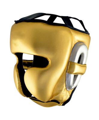 Head Guard
